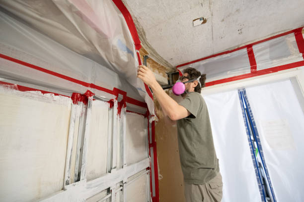 Best Post-Remediation Verification Testing  in Gruver, TX