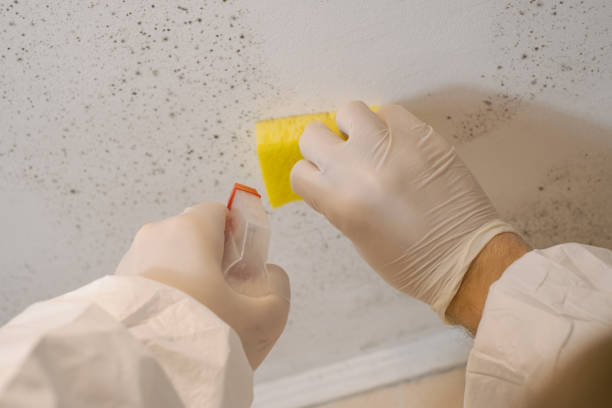 Best Dehumidification Services  in Gruver, TX